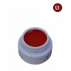 Painting NW-91