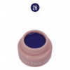 Lux Paint Gel-26