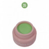 Lux Paint Gel-35