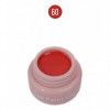 Lux Paint Gel-60