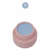 Lux Paint Gel-77