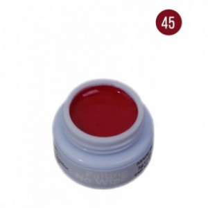 Painting NW-45